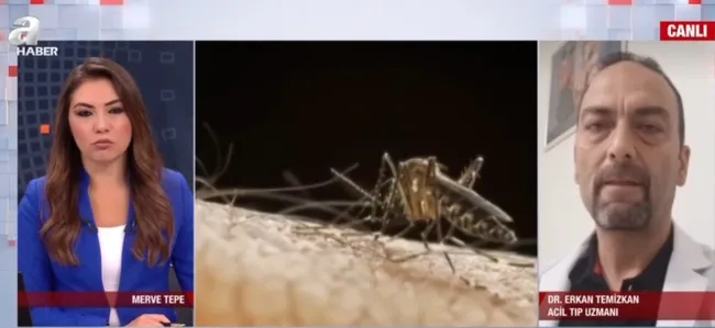 İstanbul’da sivrisinekler hastanelik ediyor! Hangi hastalıkları yayıyor?