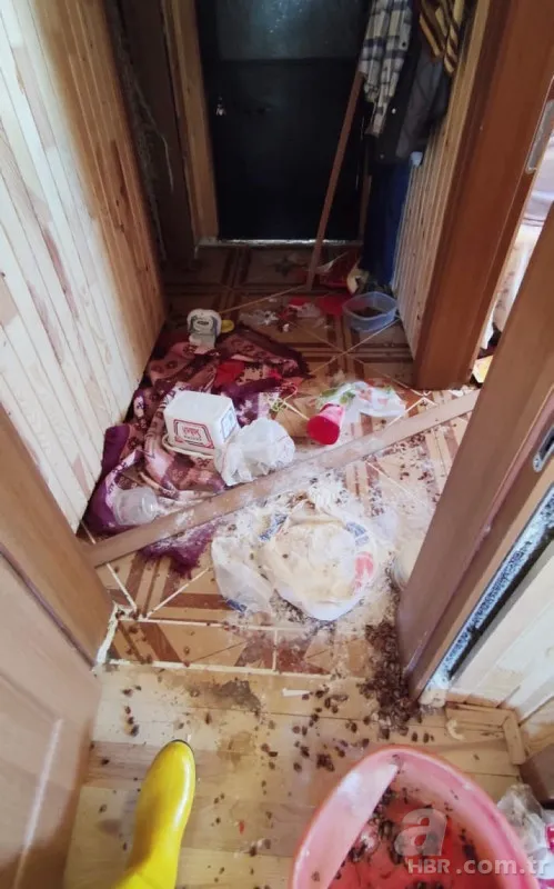 Vahşi doğada ölümcül karşılaşma! Ayı yavrularını… 17