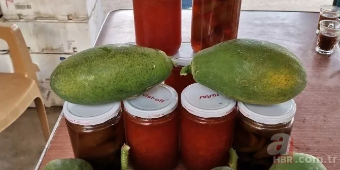 İspanya'da tadına baktı Mersin'e getirdi! Bir sezonda kazandığı para şaşırttı! Paraya para demiyor... 5