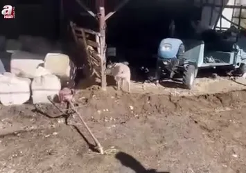 Uyuşturucu satıcılarına şafak operasyonu: Yüzlerce kilo uyuşturucu ve 5 tabanca ele geçirildi