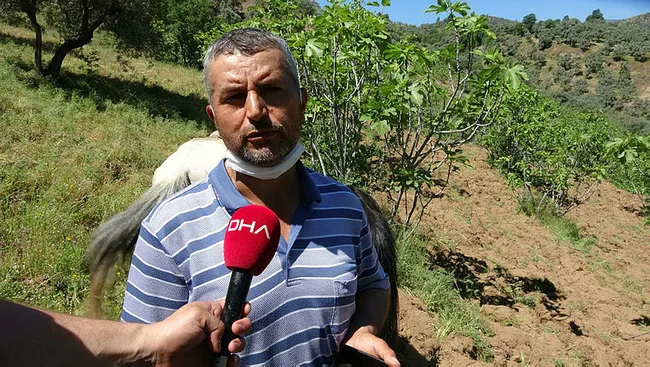 Aydın'da yaşayan Süleyman Çapar emeklilik ikramiyesini telefon dolandırıcılarına kaptırdı - 4