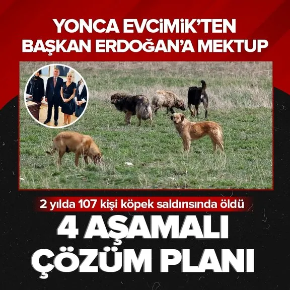 Başıboş köpek sorunu için 4 aşamalı çözüm önerisi! Yonca Evcimik’ten Başkan Recep Tayyip Erdoğan’a mektup