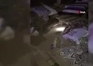 Dünyanın en ilginç 19 hayvanından biri!