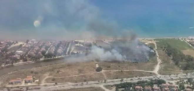 İzmir’de sazlık alanda korkutan yangın: Kontrol altına alındı | Ekipler inceleme başlattı