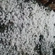 Dolu meyveleri parçaladı