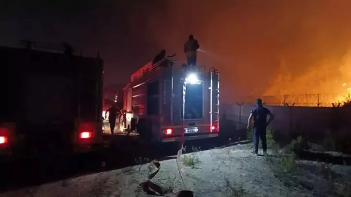 Suriye'den Hatay'a sıçrayan yangın kontrol altına alındı