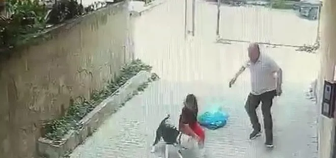 Ataşehir’de Pitbull dehşeti! 7 yaşındaki çocuk kabusu yaşadı