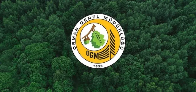 OGM, İŞKUR ile 4 farklı branşta işçi alımı yapacak: Aşçı, bahçıvan, orman işçisi, laboratuvar teknikeri