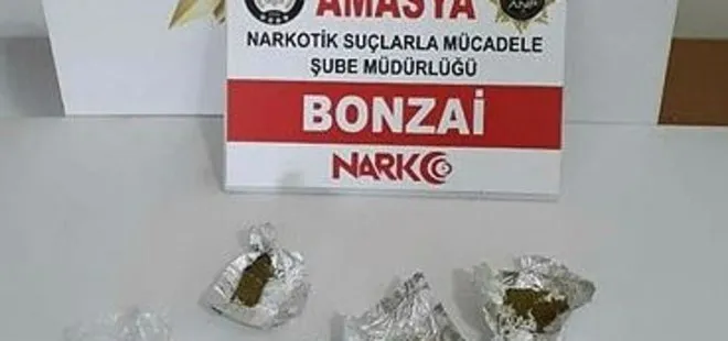 Amasya'da uyuşturucu tacirleri tutuklandı