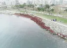 Görüntüler İstanbuldan! Sahil kızıla boyandı