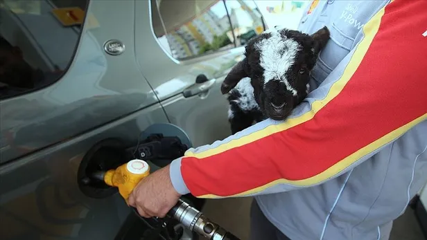 1 LT benzin kaç TL? 25 Ekim benzin fiyatı ne kadar? İstanbul, Ankara, İzmir benzin fiyatları kaç TL oldu?