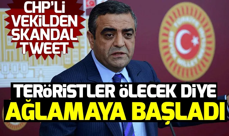 Sezgin Tanrıkulu yine teröristlere sahip çıktı