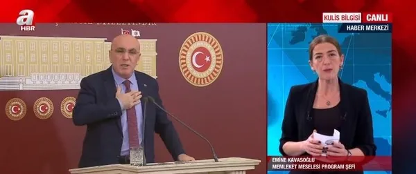 1611088354011.jpg Muharrem İnce'nin esas hedefi ne? Eski İYİ Partili iki vekil İnce'nin partisine geçecek mi? Emine Kavasoğlu canlı yayında açıkladı! - 1
