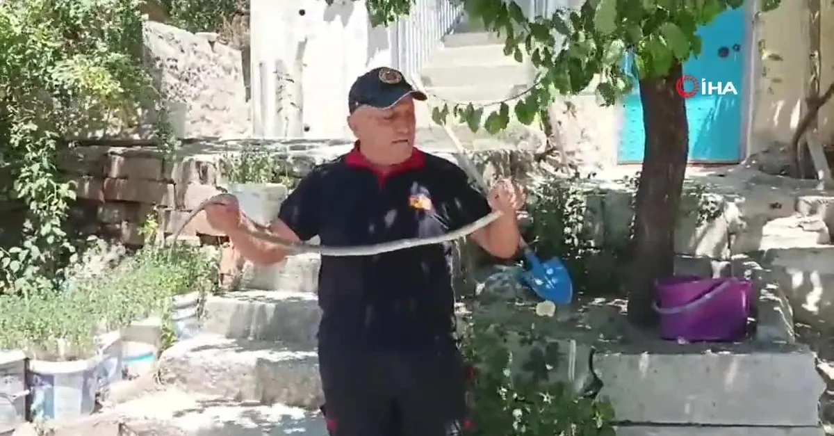 Evde yılan paniği! Ekipler yakaladı