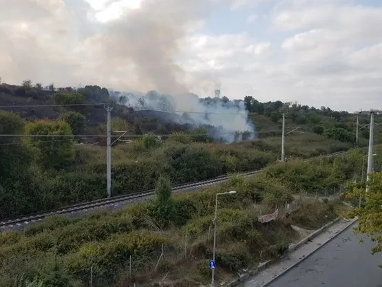 İstanbul'da Nükleer Araştırma ve Eğitim Merkezi'nde ağaçlık alanda yangın - 1