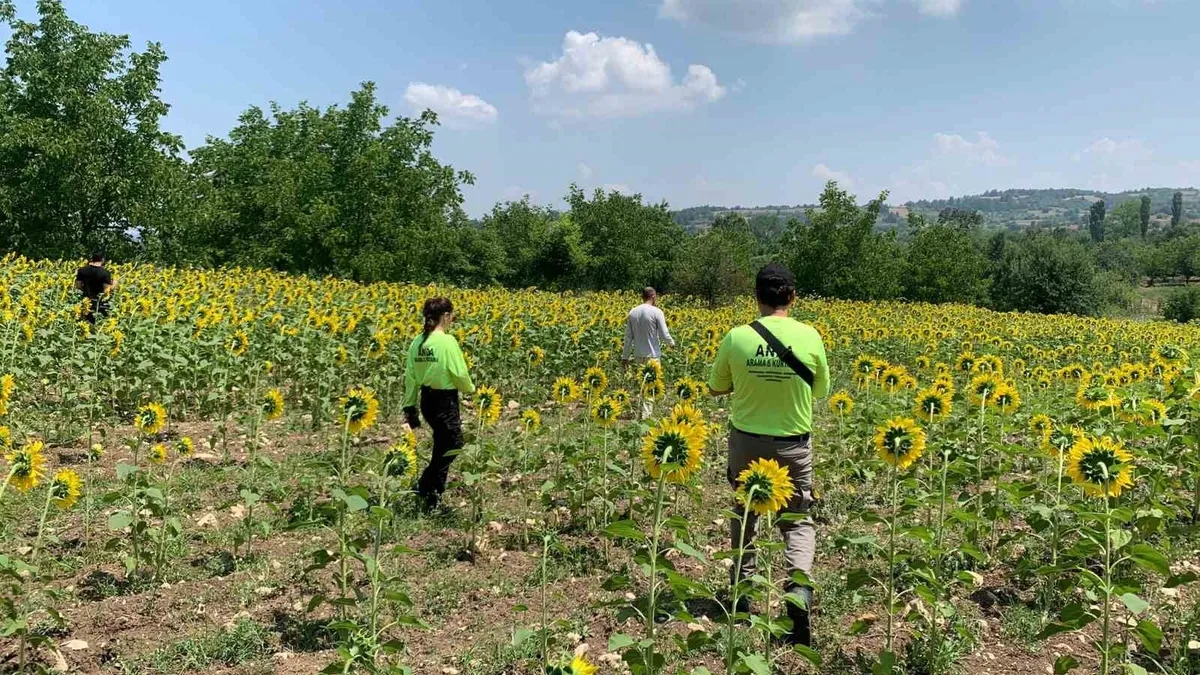 Kayıp çoban dün akşamdan beri aranıyor