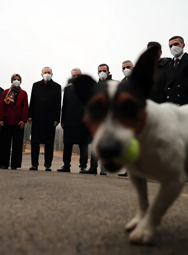 Başkan Erdoğan’dan hayvan barınağına ziyaret: Maylo isimli köpekle yakından ilgilendi