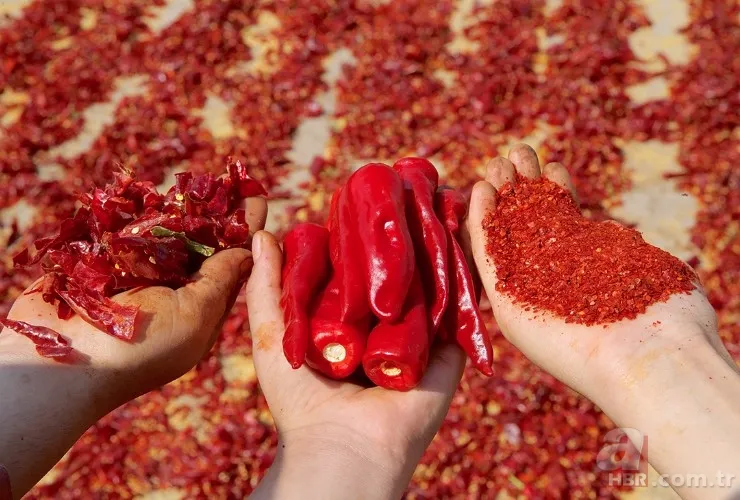 Hep karıştırılıyor! Pul biber ve isot arasındaki tek fark buymuş... 1