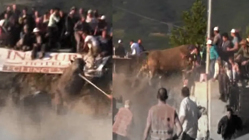 Artvin’de öfkeli boğalar seyircilerin arasına daldı