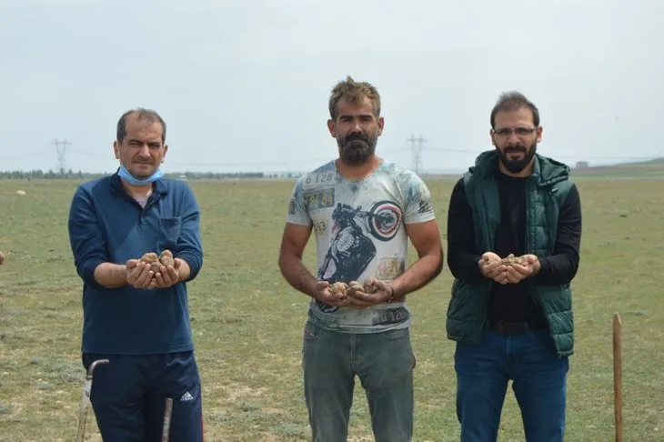 Afyonkarahisar'da vatandaşlar domalan mantarlarını toprak altında define gibi aranıyor