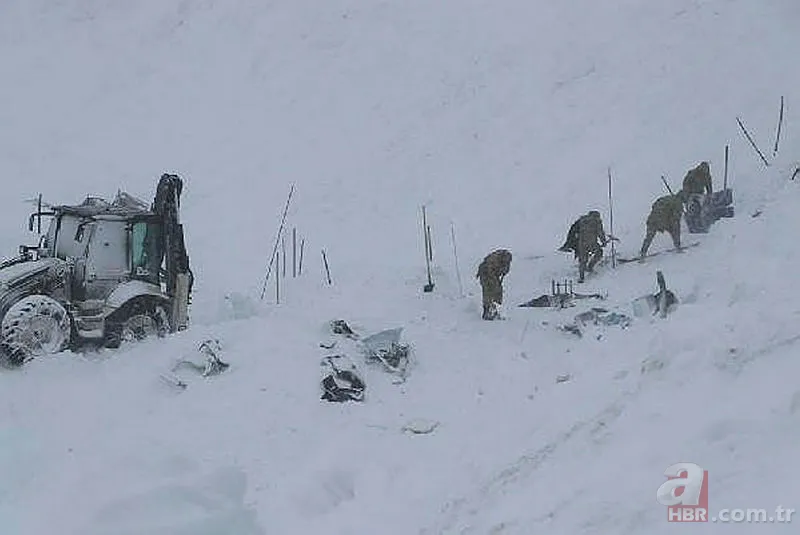 VAN'DA ÇIĞ FELAKETİ! Çığ sırasında alınacak önlemler neler? Çığ sonrası hangi numaralar aranmalı? 8
