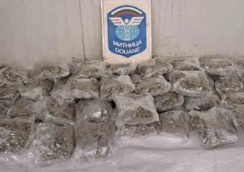 Aydın'da mera ıslah projeleri sürüyor