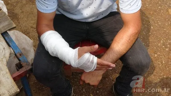 Kurban Bayramı'na saatler kala hareketli dakikalar! Kiminin kolu çatladı, kiminin boğası kaçtı 6