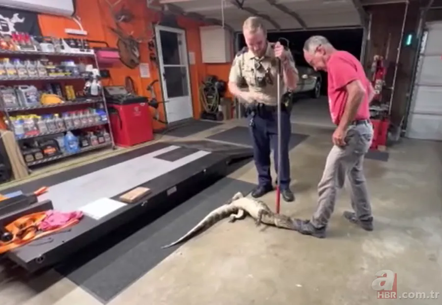 Herkes uyurken köpek kapısından girdi! Ayağıyla ağzına basıp etkisiz hale getirdi 8