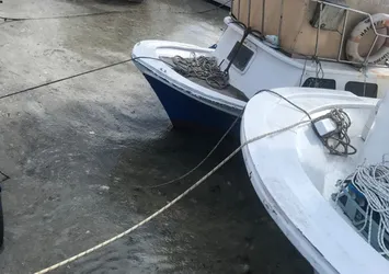 Marmara Denizi'ndeki korkunç manzaranın nedeni belli oldu