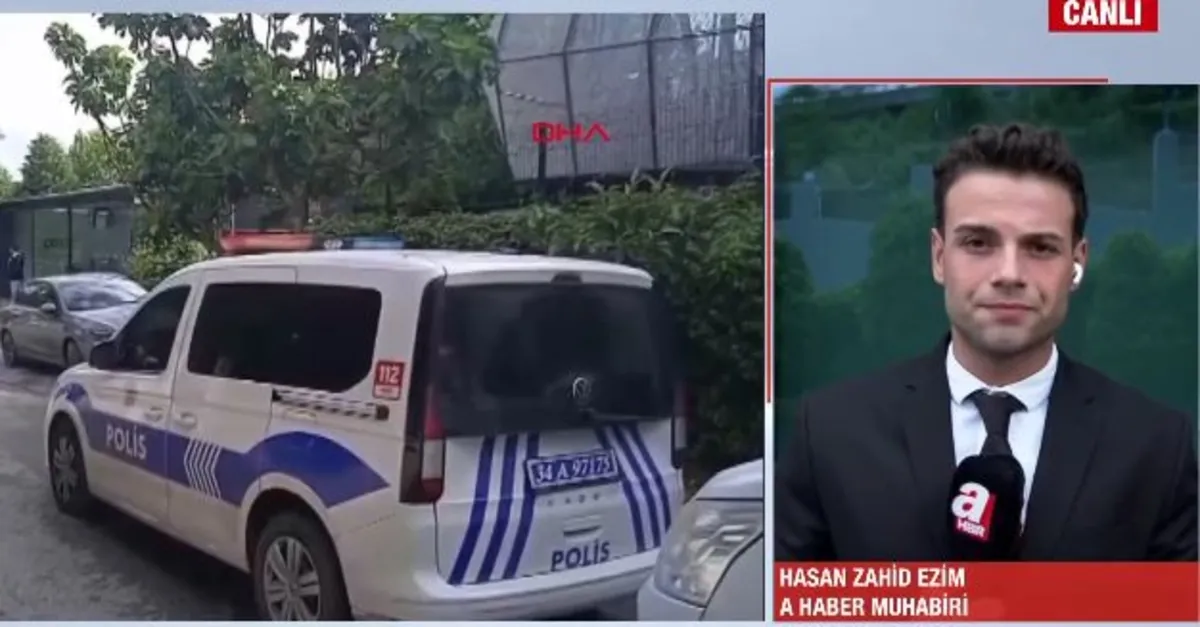 15 Papara şüphelisi hakimliğe sevk edildi!