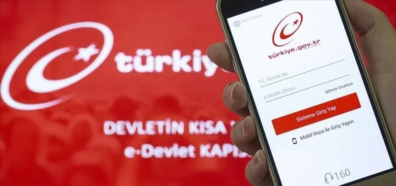 e devlet sorgulama e devlet ceza bilgisi