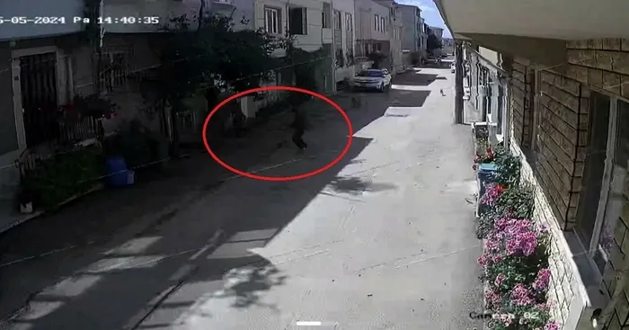 1714918987282.jpeg Bursa'da başıboş köpek dehşeti! 3 çocuğa saldırdı | O anlar kamerada - 1