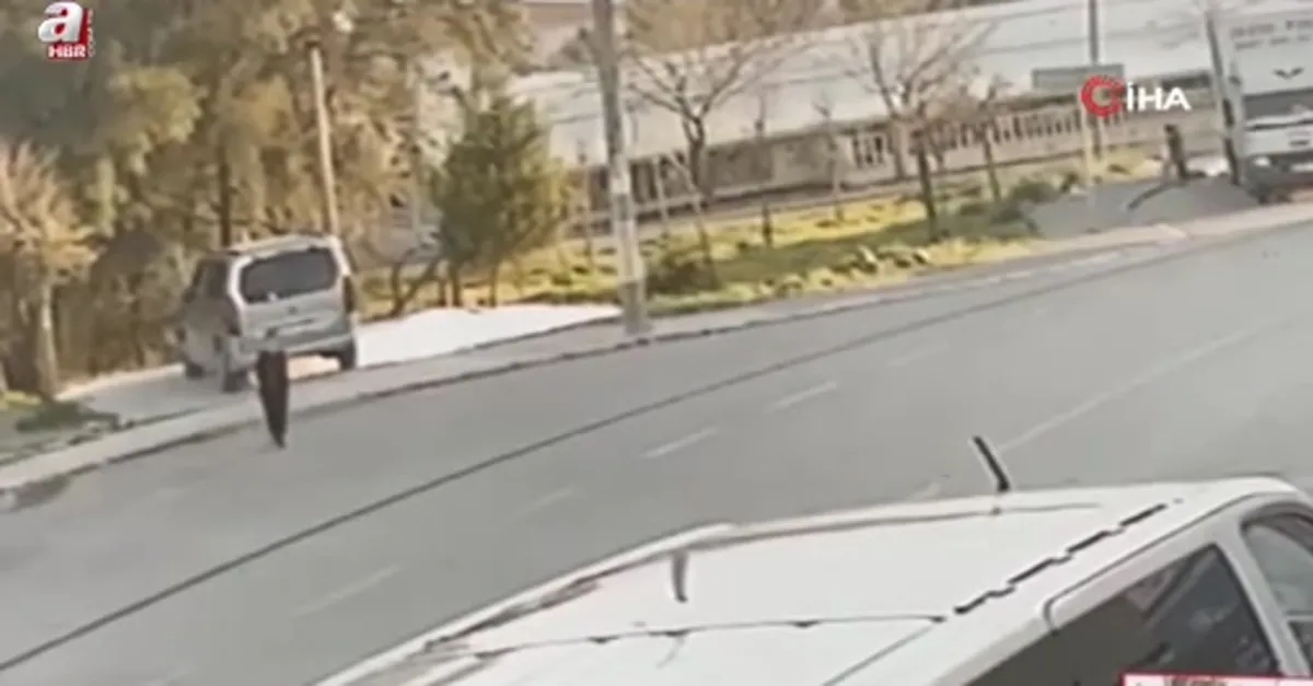 İzmir'de yine sokak köpeği çocuğa saldırı