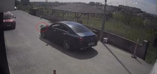 İstanbul’da yürek sızlatan görüntü! Vicdansız sürücü köpeği göz göre ezdi yoluna devam etti