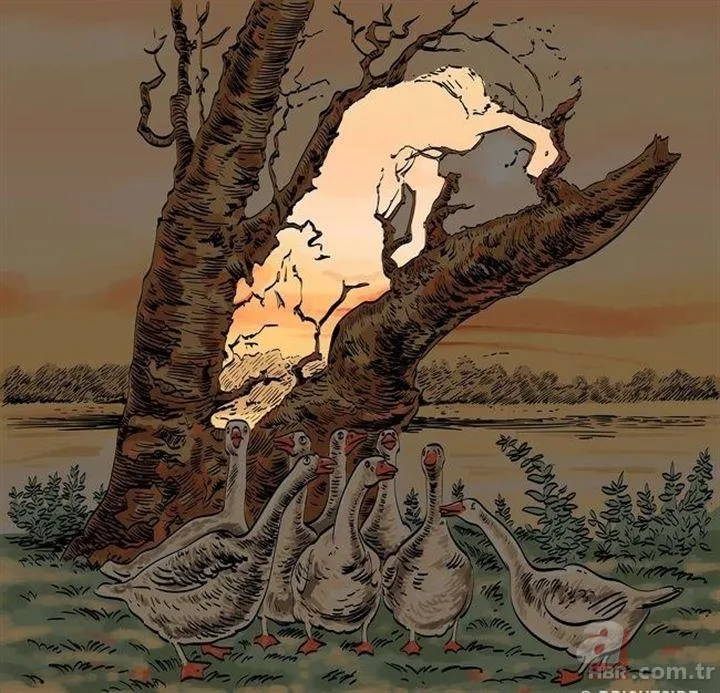 Sosyal medyayı sallayan soru! Cevabını çok az kişi biliyor 22