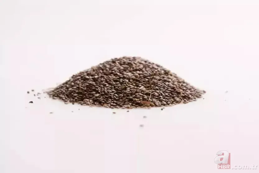 İbn-i Sina binlerce yıl önce yazdı: 1 asır yaşamanın sırrı bu reçetede... 6