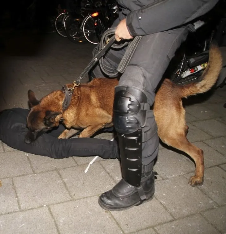 Hollanda’da Türk vatandaşlarına polis köpekleriyle müdahale