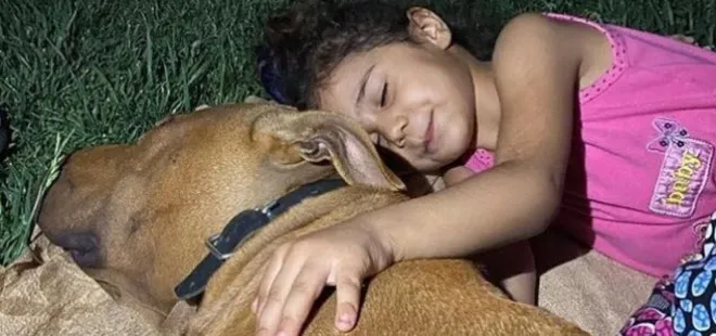 Pitbull saldırısında yaralanan Asiye Ateş ameliyat oldu! Küçük kızın son durumu nasıl?