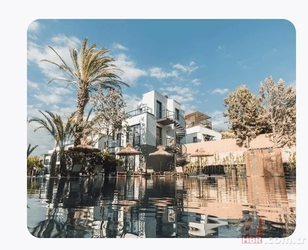 VClub dosyasına inceleme! Ticaret Bakanlığı harekete geçti | Okan Bayülgen'li reklamlara yasak 6