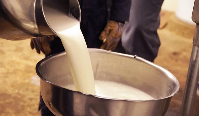 Mayasız da oluyor! Tam kıvamında yoğurt tarifi: Sütün içine 2 tane bundan ekleyin...