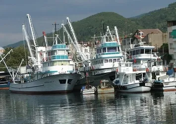 Marmara Denizi'nde karides avı yasaklandı