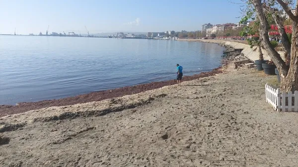 1699357512590.jpg Marmara Denizi kıyıları kızıla boyandı! Uzman isimden açıklama: Telaş yapmaya gerek yok - 3