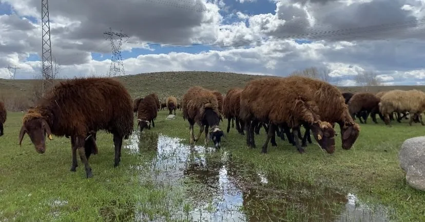 Kimse yapmak istemiyor! 120 bin TL maaşla çalışacak eleman yok - 1