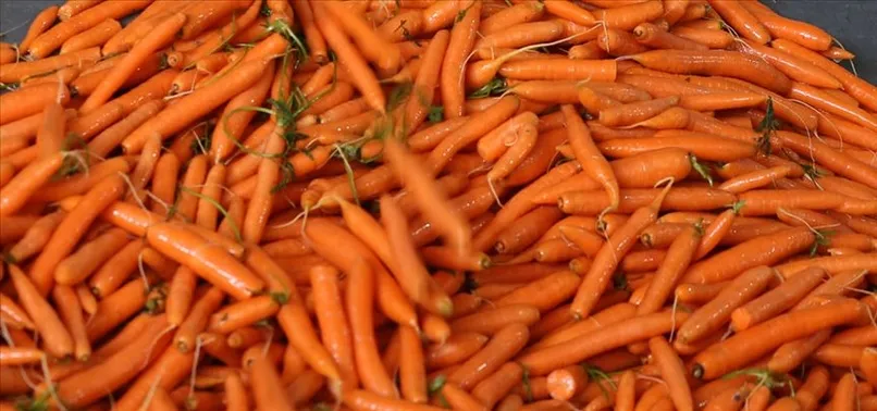 Sabahları 2 tane havuç tüketin o dertten kurtulun! Aç karnına yerseniz...