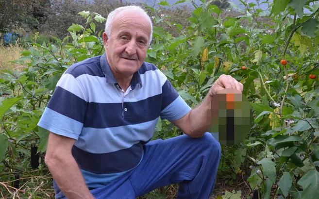 Patlıcan tohumu ekti hayatının şokunu yaşadı! Görenler hayrete düştü