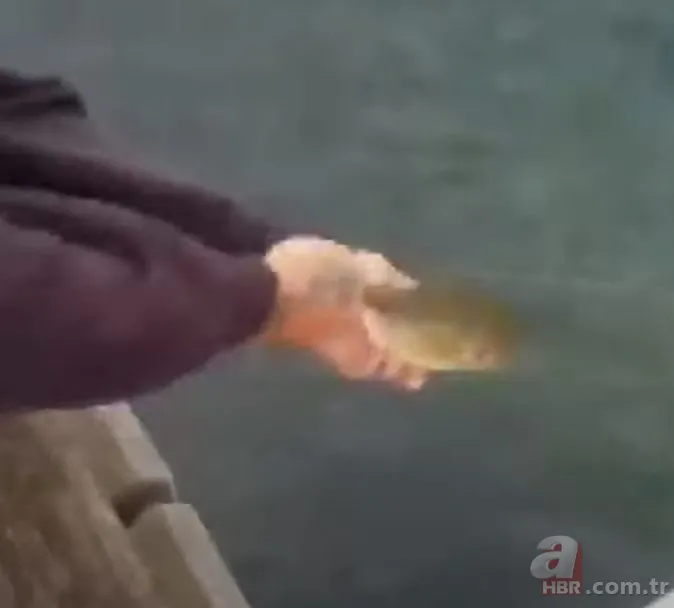 Yakaladığı balığın içinden bakın ne çıktı 🐟 Daha önce böylesi görülmedi | İlk başta çok korktu ama... 21