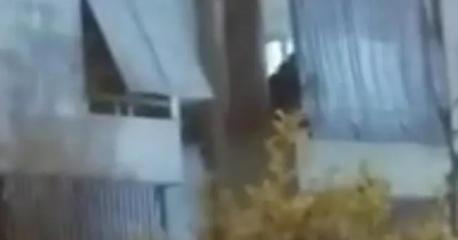Aydın’da cani babanın 11 yaşındaki oğlunu oklavayla dövdüğü anlar kamerada - 1