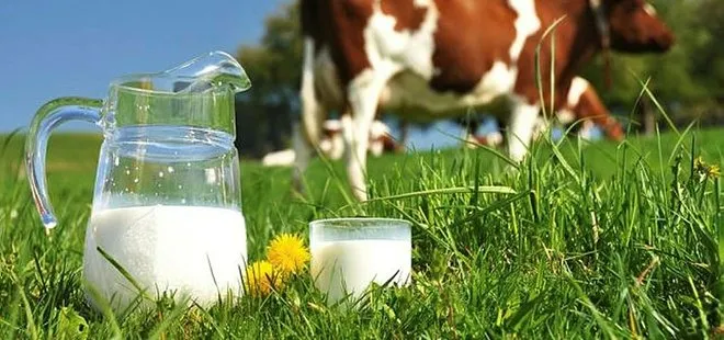 Çiğ süt zammı son dakika: Ulusal Süt Konseyi 2021 çiğ süt fiyatı ne kadar, kaç TL oldu? Ne zaman geçerli olacak?