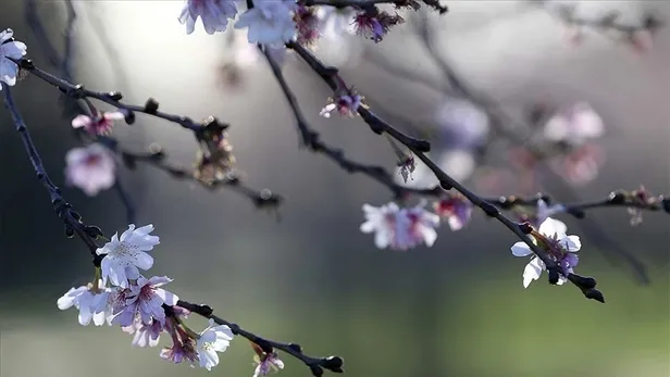 cemre-dusme-tarihleri-2023-cemre-nedir-dustu-mu-havaya-suya-topraga-ne-zaman-hangi-ayda-duser-1674831260399.jpg CEMRE DÜŞME TARİHLERİ 2023 | Cemre nedir, düştü mü? Havaya, suya, toprağa ne zaman, hangi ayda düşer? - 5