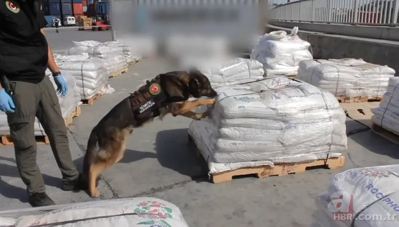 Böylesi ilk kez görüldü! Akılalmaz yöntem 13